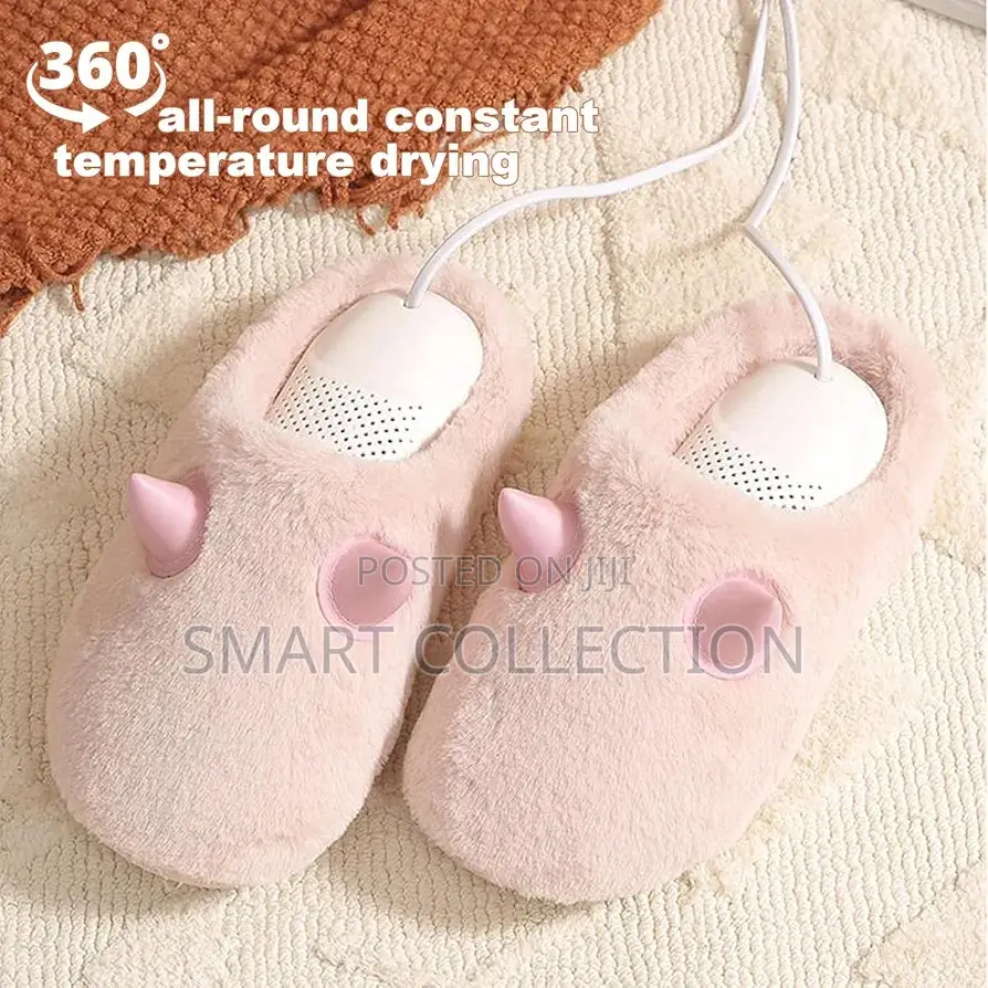 Electric Shoe Dryer