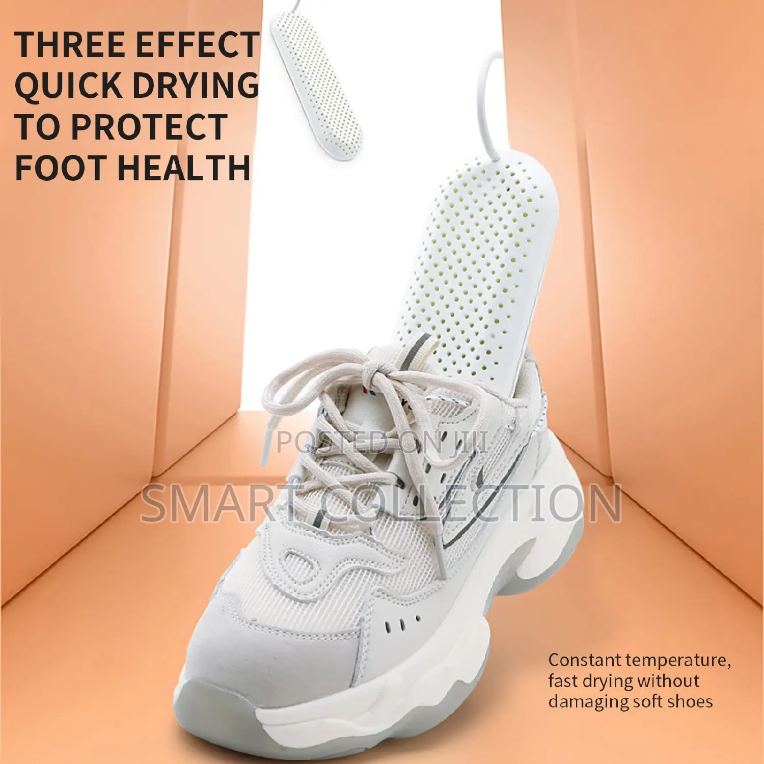 Electric Shoe Dryer