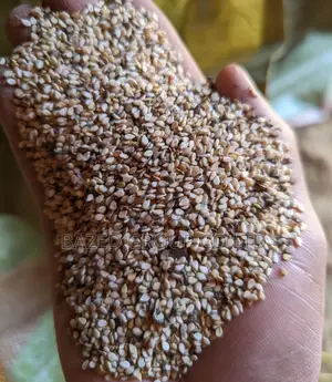Sesame/Ufuta
