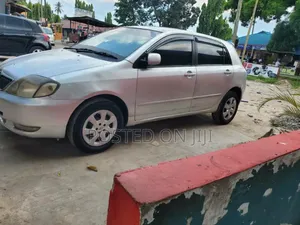 Toyota Corolla RunX 2004 Silver