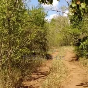 Shamba Ekari 50 Linauzwa Mbwewe Bagamoyo