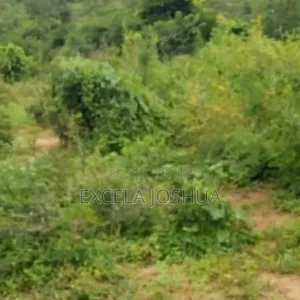 Shamba Ekari 50 Linauzwa Mbwewe Bagamoyo