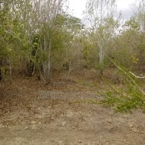 Shamba Ekari 50 Linauzwa Mbwewe Bagamoyo