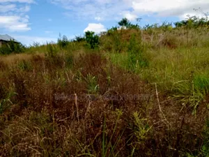 Big Plot for Sale at Mbezi Msakuzi Machimbo