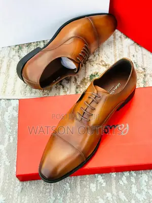 Brown Men Shoes Original New
