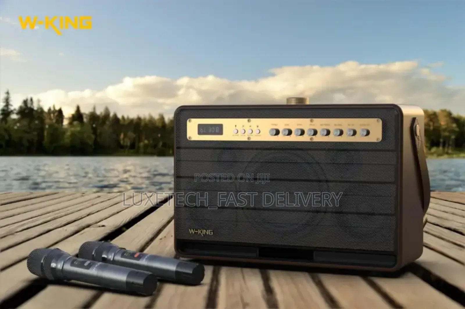 W-King K6L(Portable/Karaoke Speaker)