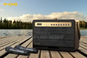 W-King K6L(Portable/Karaoke Speaker)