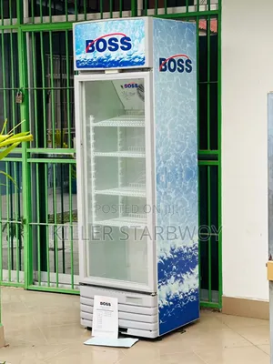 Display Fridge Lita 300