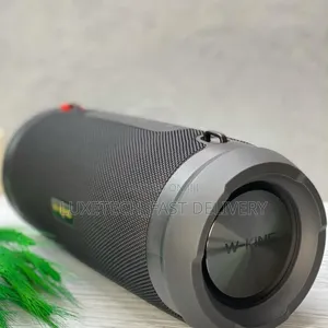 W-King D3pro Outdoor Bluetooth Portable Karaoke Speaker 60W