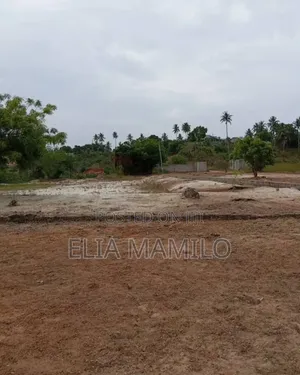 37 Acres of Land for Sale in Kigamboni, Tuangoma