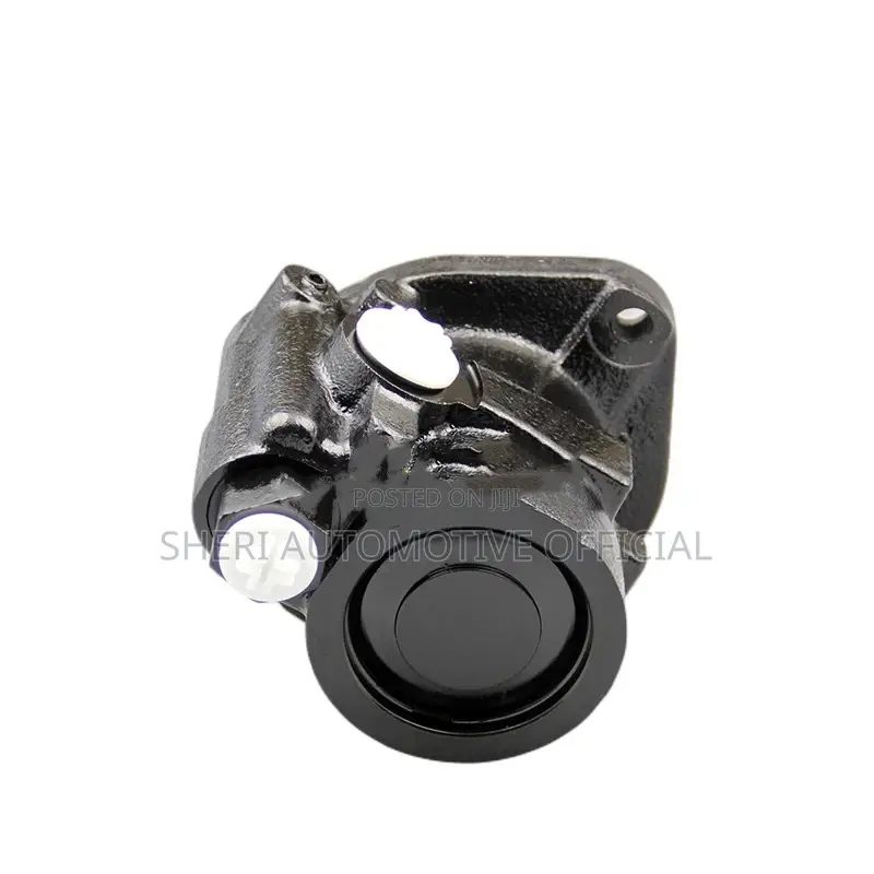 4831152 Gear Power Steering Pump for Volvo, DAF Trucks