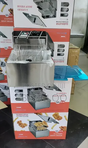 Global Star Deep Fryer
