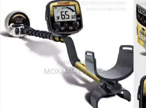 Fisher Gold Bug PRO