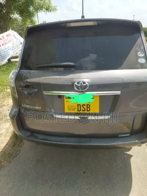Toyota Vanguard 2009 Gray