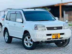 Photo - Nissan X-Trail 2.0 2003 Pearl