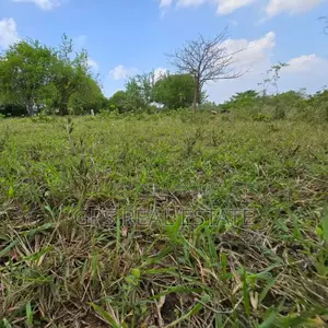Plot for Sale at Madale