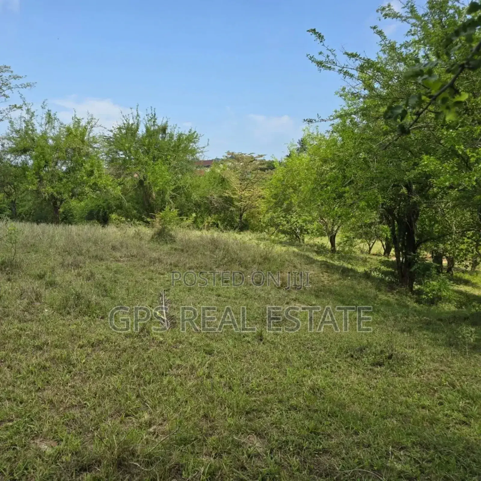 Plot for Sale at Madale