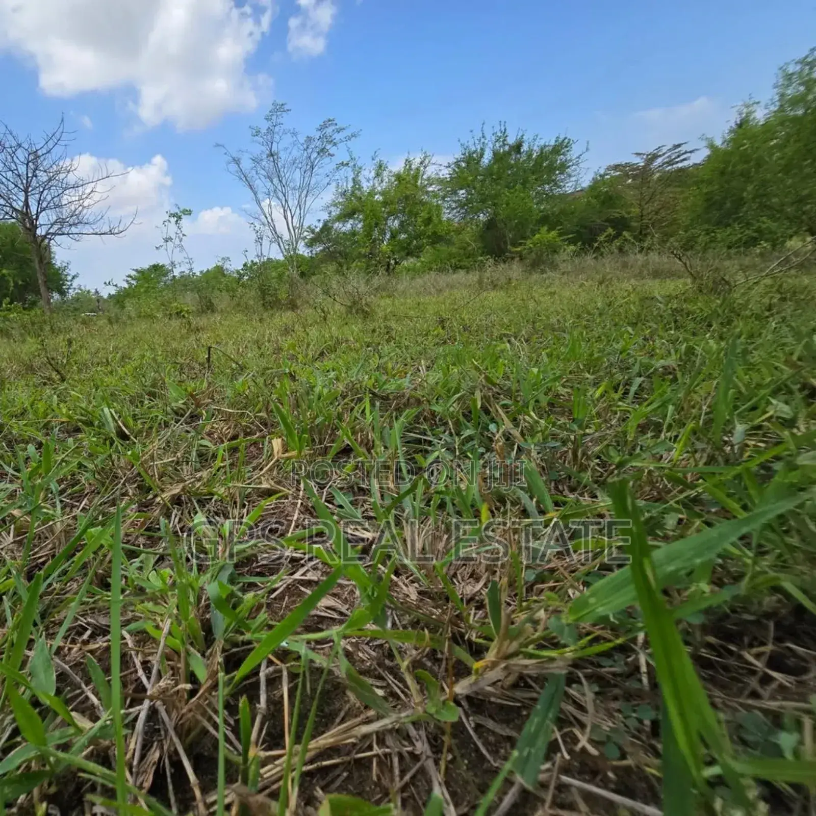 Plot for Sale at Madale
