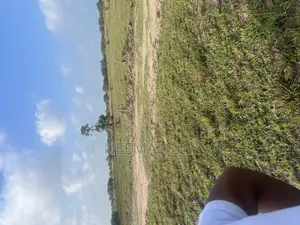 Kiwanja Anza Na 199,000/= Tu