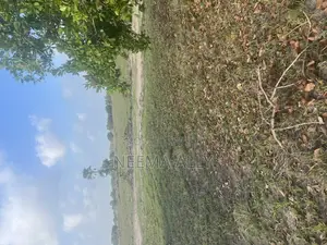 Viwanja Vizuri Vya Makazi Na Biashara
