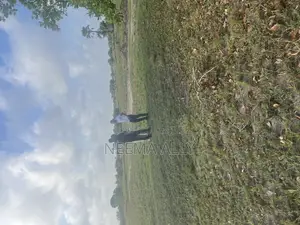Viwanja Vizuri Vya Makazi Na Biashara