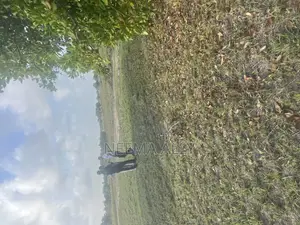 Viwanja Vizuri Vya Makazi Na Biashara