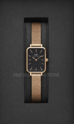 Dw Daniel Weligthon Watches
