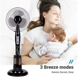 Frigidaire Mist Fan Black | Remote Control 16 Inch - Fd9012m
