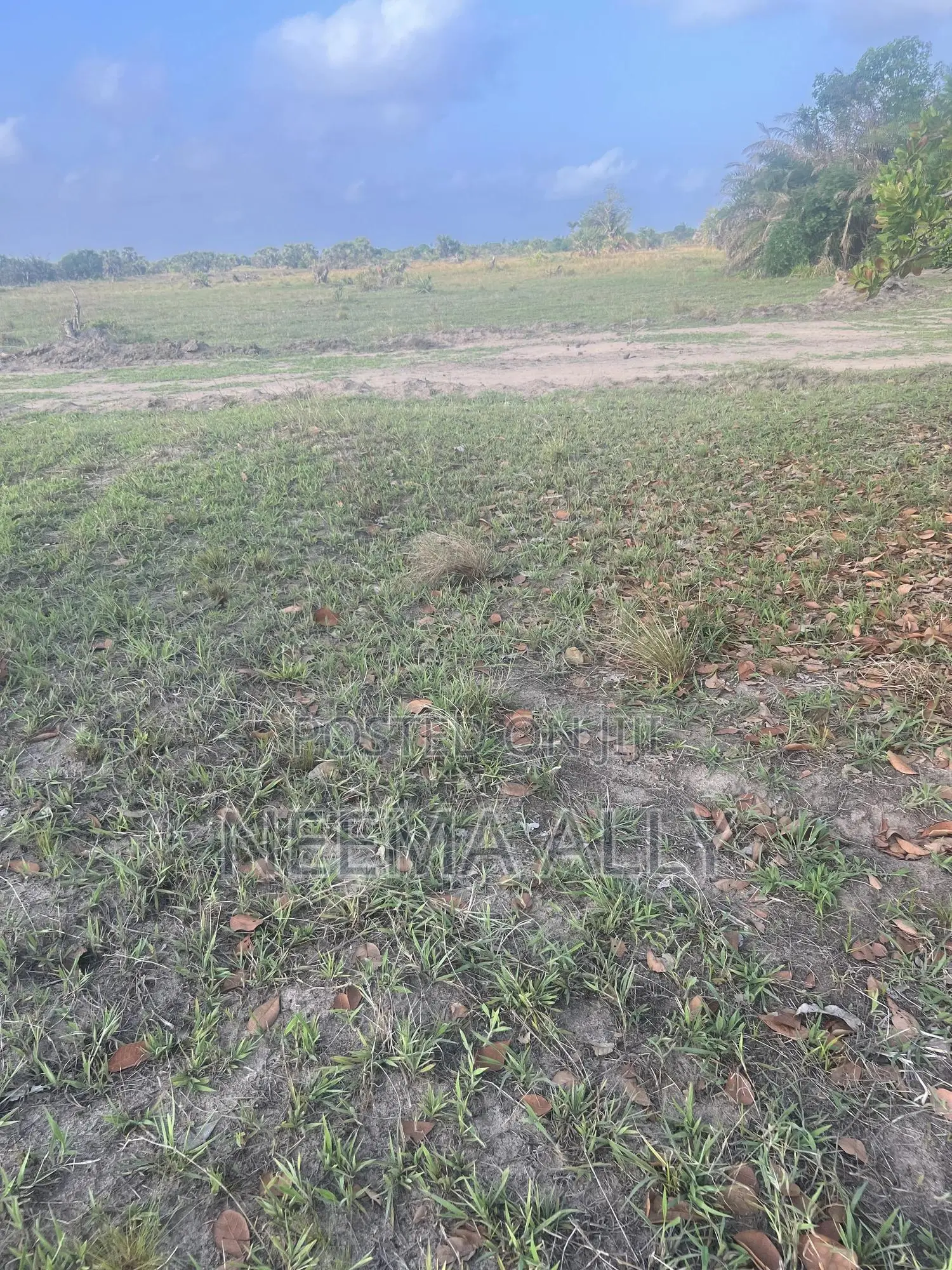 Viwanja Karibu Na Barabara Kuu Puna Chaurembo