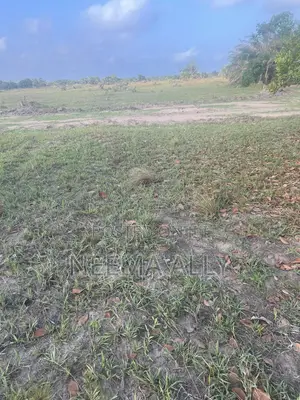 Viwanja Karibu Na Barabara Kuu Puna Chaurembo