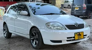 Toyota Allex 2004 White