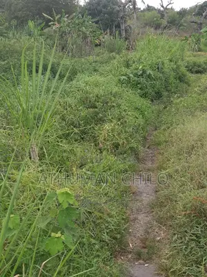 Eneo Linauzwa Lipo Kiwangwa Bagamoyo Pwani