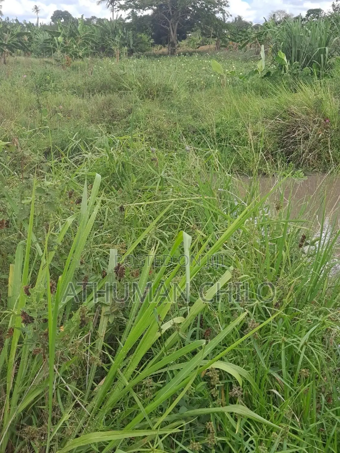 Eneo Linauzwa Lipo Kiwangwa Bagamoyo Pwani