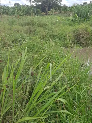 Eneo Linauzwa Lipo Kiwangwa Bagamoyo Pwani