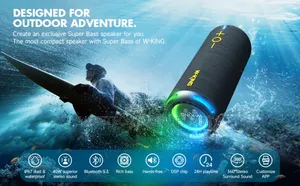 W-King D320 - 40w Portable Speaker