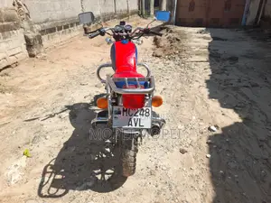 SanLG SL150-6 2019 Red