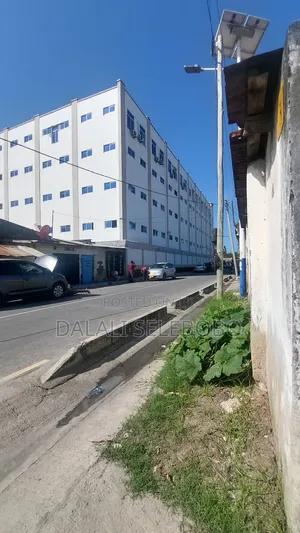 Plot Nzur Sana at Makumbusho
