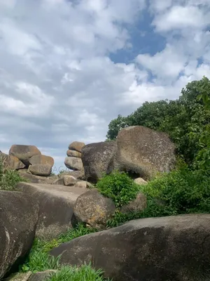 Corner Plot for Sale at Bwiru Mwanza