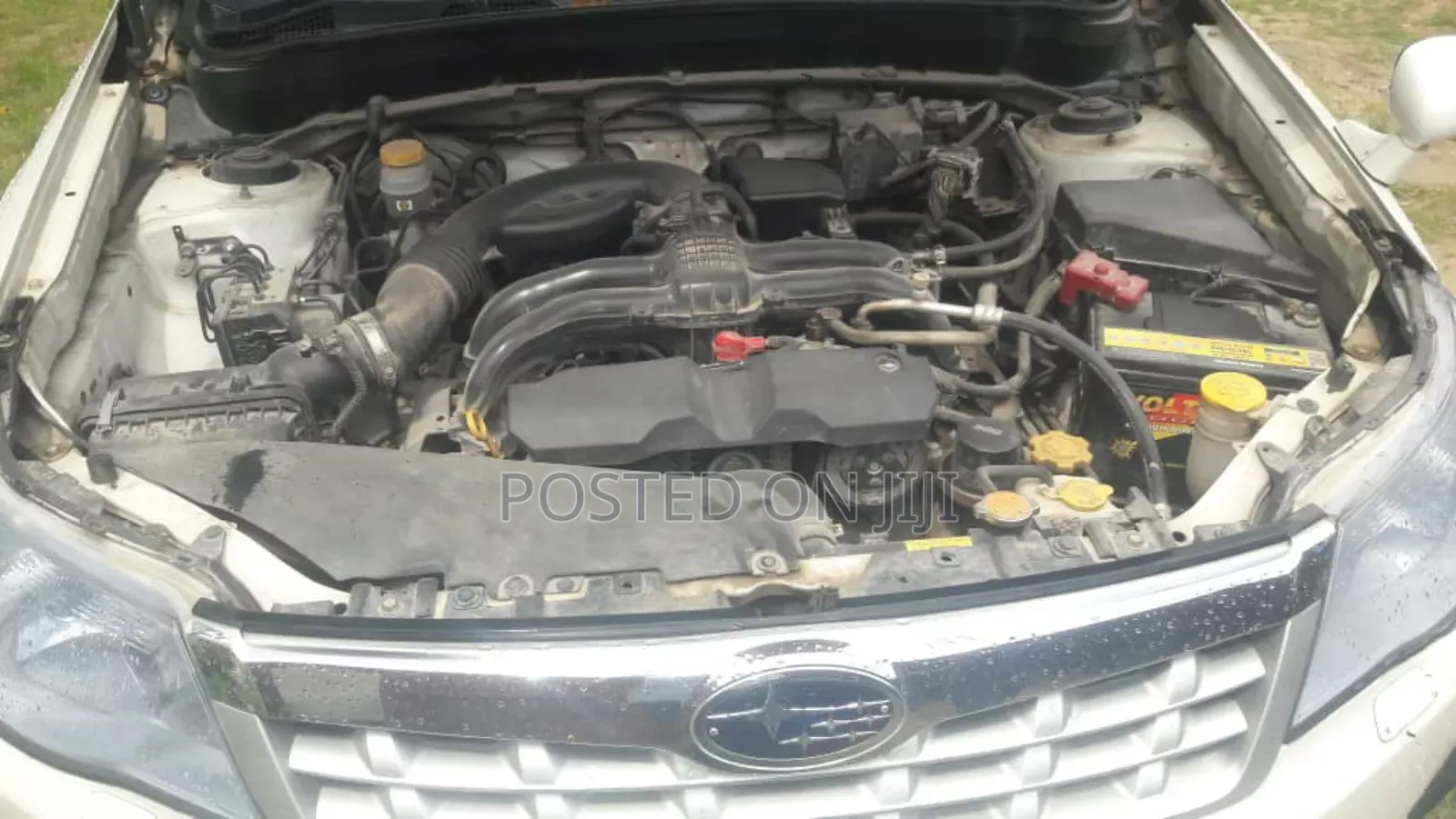 Subaru Forester 2011 White