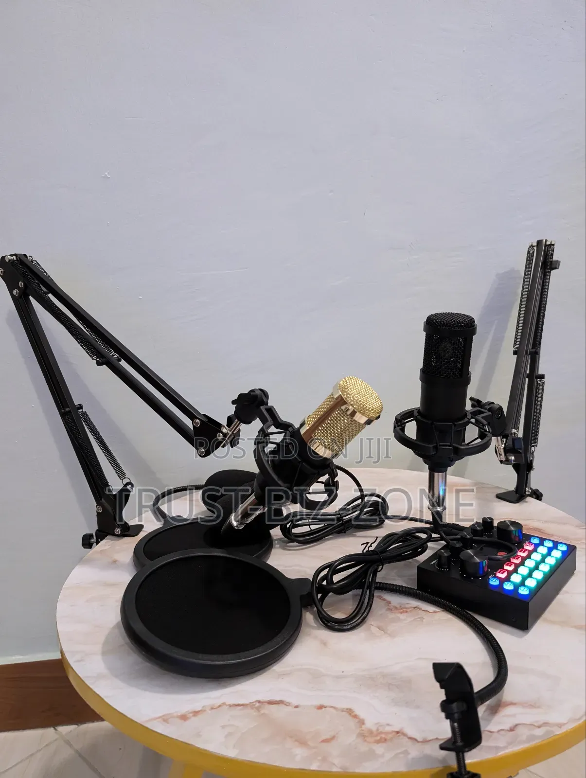 Studio Recording Microphone Condenser Kit Set 2mic