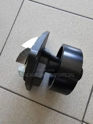 Cummins L300 Water Pump
