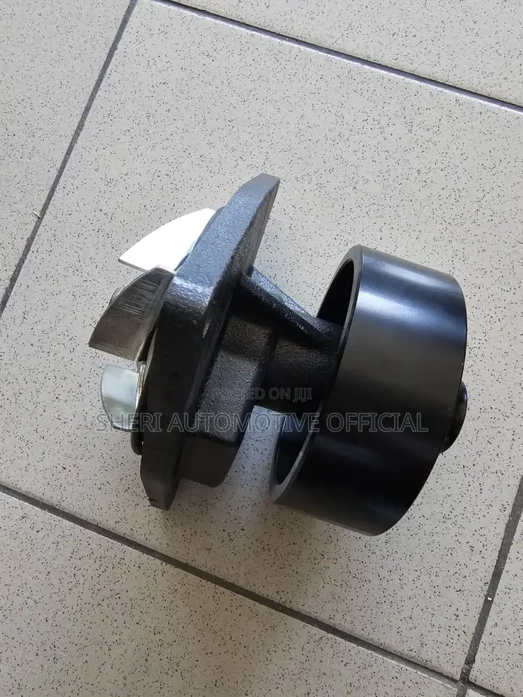 Cummins L300 Water Pump