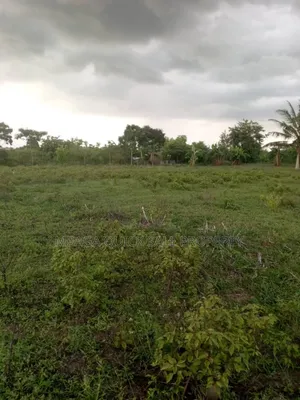 Farm for Sale at Soga Kibaha Pwani Region