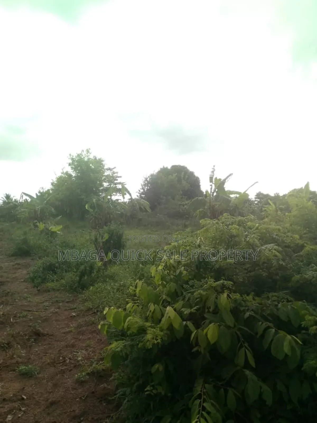 Farm for Sale at Soga Kibaha Pwani Region