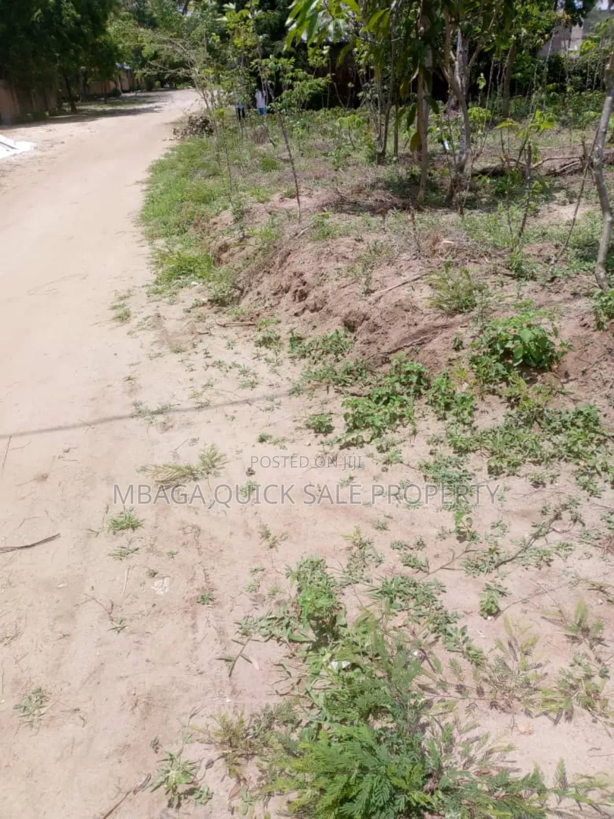 Farm for Sale at Soga Kibaha Pwani Region