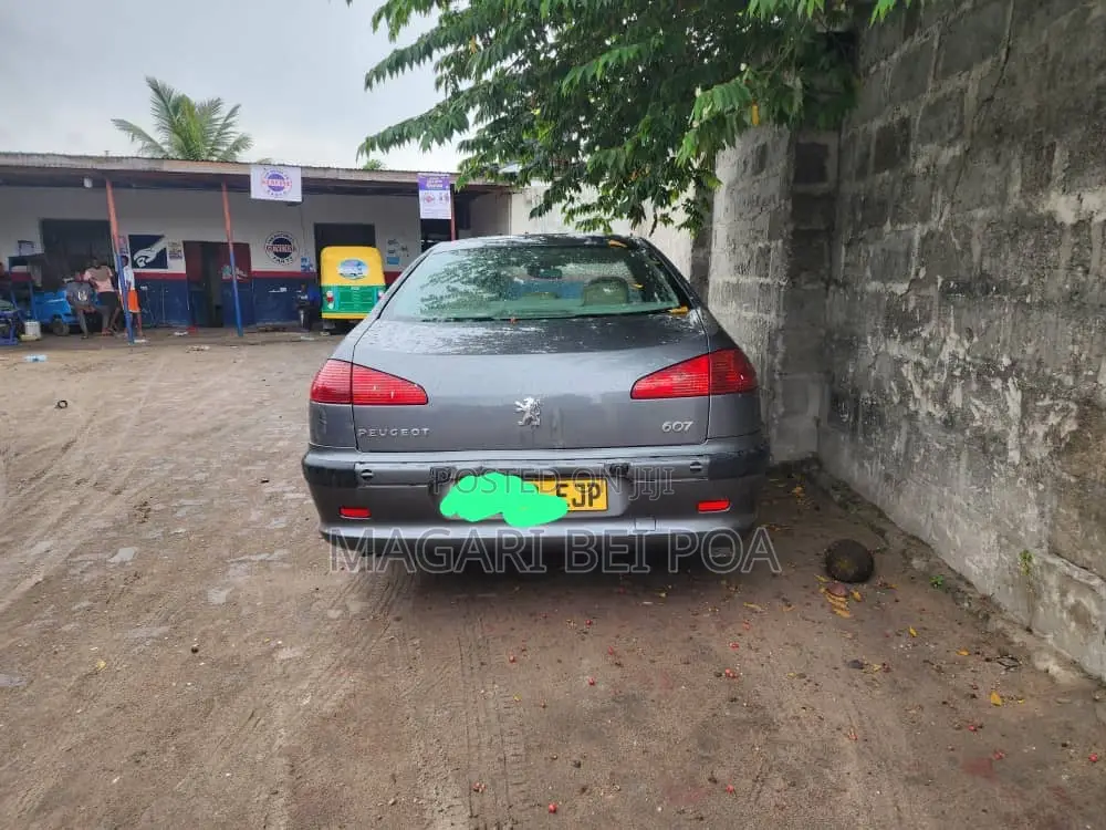 Peugeot 1007 2002 Gray