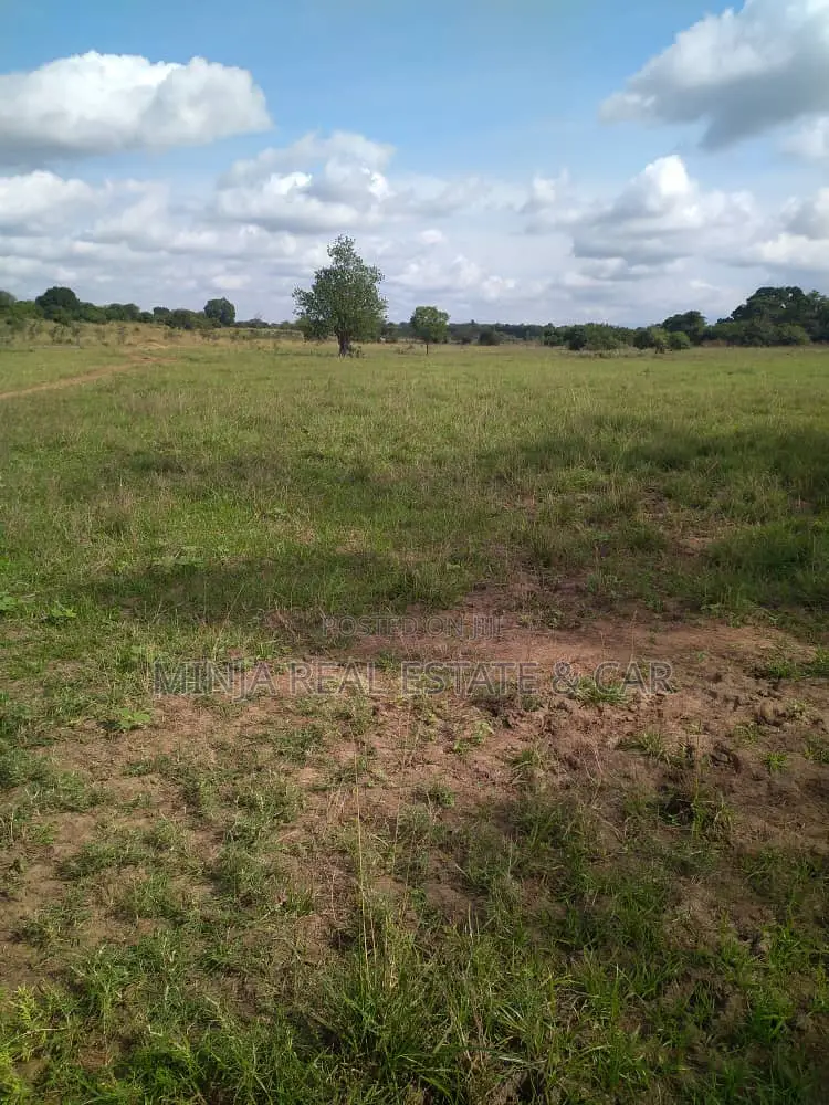 6000 Acres Shamba for Sale in Korogwe Tanga