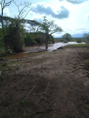 6000 Acres Shamba for Sale in Korogwe Tanga