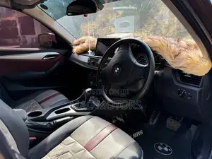 BMW X1 2010 Brown