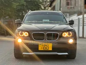 BMW X1 2010 Brown
